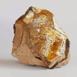 Амбра в гомеопатии