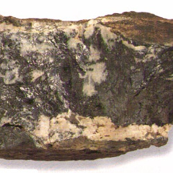 Аргентум нитрикум в гомеопатии