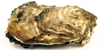 Гепар сульфур в гомеопатии