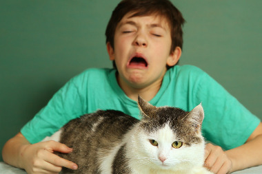 Гомеопатическое обострение 2