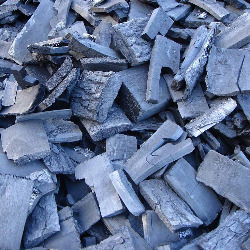 Карбо вегетабилис в гомеопатии