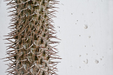 Крапивница. Что это