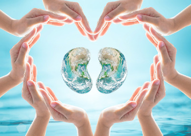 Лечим хронический пиелонефрит гомеопатией в Новосибирске